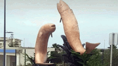 محمد أسليـم: هل ظلم الجمهور المغربي صاحب «مجسمتي سمكتي المهدية»؟