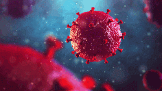 مات إيروين(1): الإيدز (السِّيدَا) وسحـر الـﭭـودو / ترجمة: م. أسليـم